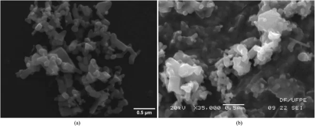 Figure 1. SEM image of: (a) ZnO_NPs and (b) ZnO_NPs/PPy nanocomposites.