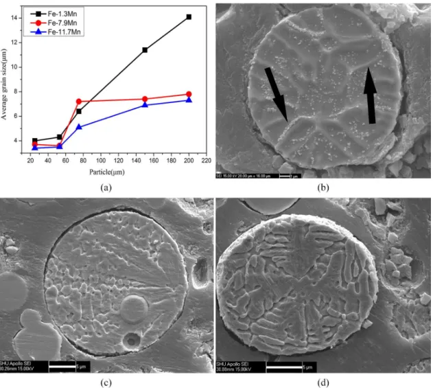 Figure 7 shows a TEM micrograph and SADP of the  matrix in the Fe-11.7Mn atomized powder