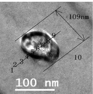Figure 10. Precipitated phase in 4µm Fe-1.3Mn alloy powder and  test position of EDS.
