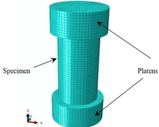 Figure 2. The inite element model of the Ni-based BMG rod with  a diameter of 1mm.