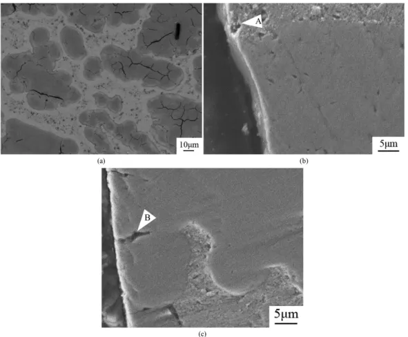 Figure 2c  and  Figure 2d  show the cross-section microstructures  of the HCPEB-treated CuCr25 alloy