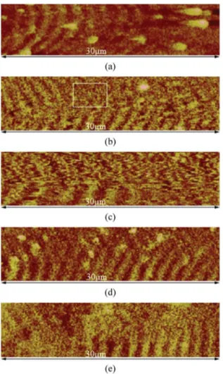 Figure 4. Magnetic domain structures of melt-extracted Co-based  amorphous wires: (a) as-cast state; (b) 100 mA; (c) 200 mA; 