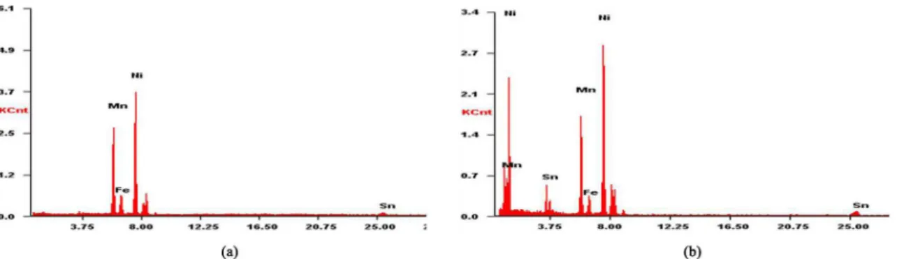 Figure 4. TEM microstructure and the corresponding selected area diffraction (SAD) pattern of the Ni 45 Fe 5 Mn 40 Sn 10  alloys i.e