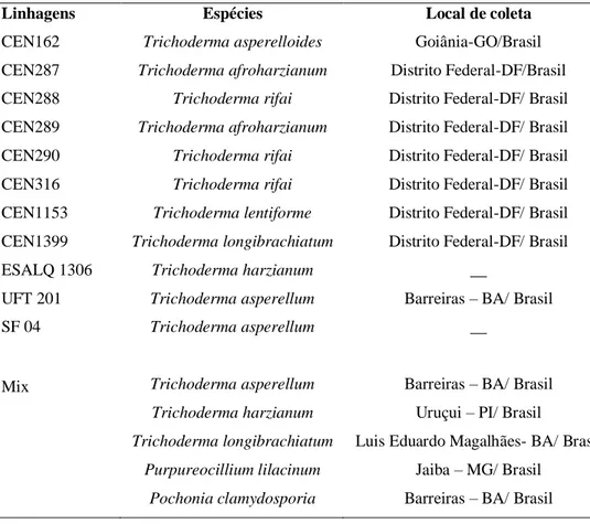 Tabela 1. Linhagens de  Trichoderma pertencentes à  Coleção de Microrganismos para o  Controle  Biológico  de  Fitopatógenos  e  Plantas  Daninhas  do  CENARGEN  e  produtos  comerciais à base de Trichoderma.