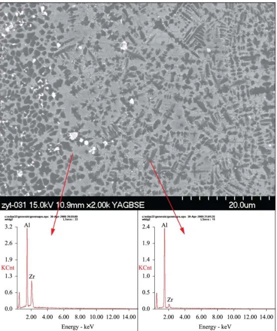 Figure 8. Back scattering electron image of the dendrite crystal.
