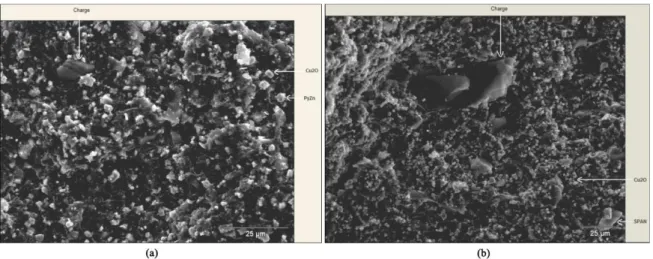 Figure 10. Micrographs of the coatings (a) T1-EMPy and (b) T3-EMPAniESPy after 53 weeks of immersion.