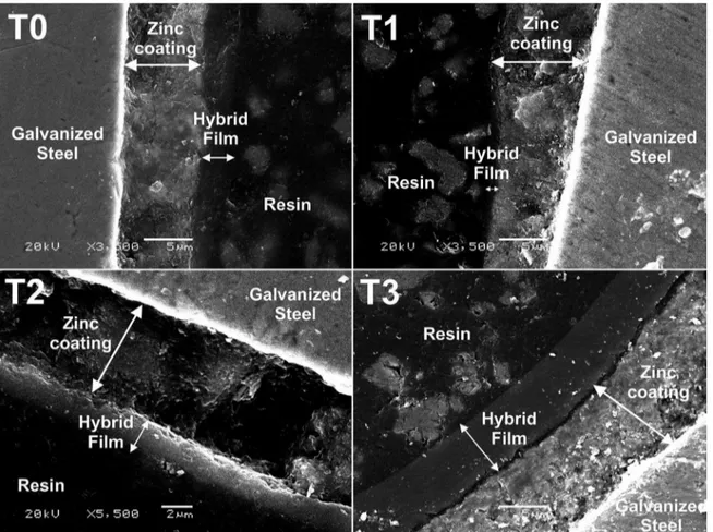 Figure 6 displays the AFM 3-D images of the studied  systems from a 70 × 70 µm 2  area whereas the roughness  values are summarized in  Table 2 