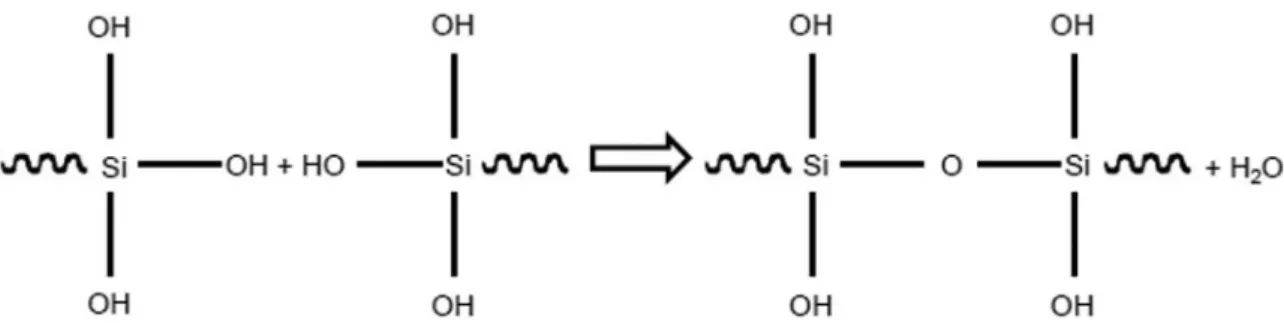 Figure 8. Open-circuit  potential  (E OC ) measurements in a  0.05 mol.L –1  NaCl solution.