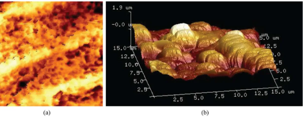 Figure 14. AFM images of acid etched UFG titanium. (a) 3D map of titanium surface for approximately 15µm × 15µm scanning area  (b) Surface morphology of the UFG etched titanium.