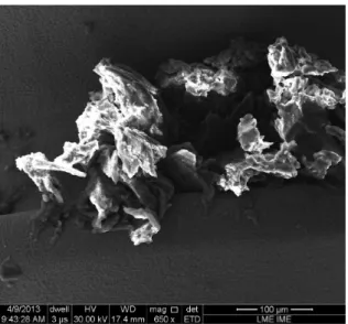 Figure 2. Native UFG cpTi oxide layer as a continuous ilm with  thickness of about 8ηm.