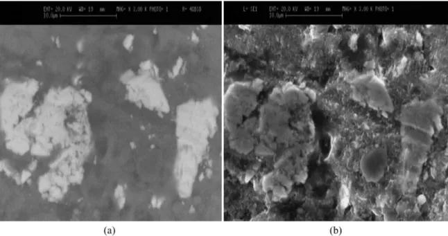 Figure 6. SEM micrographs of A series of samples sintered at 650 °C in microwave furnace: (a) Backscattered and (b) secondary electron.
