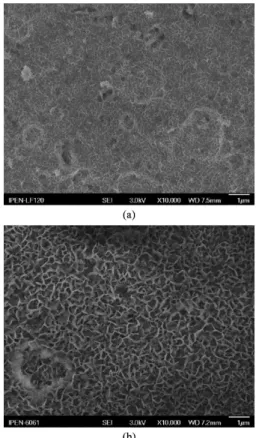 Figure 3. Scanning electron micrographs revealing HTC formation  within pits and crevices: (a) LT-HTC; (b) HT-HTC.