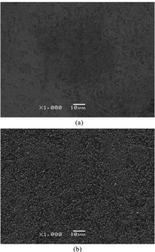 Figure 1a shows the initial condition of the surface obtained  by mechanical polishing before being subjected to plasma  nitriding treatment