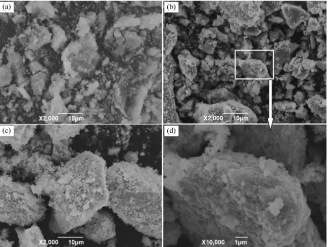 Figure 2a-c  gives the typical SEM micrographs of specimens  NZ-P, NZ-700 and NZ-900, respectively
