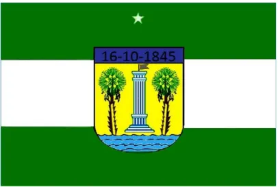 Figura 3: Bandeira do municipio do Assú/RN. Fonte: Símbolos e hinos. Prefeitura municipal do Assú  (http://assu.rn.gov.br/)