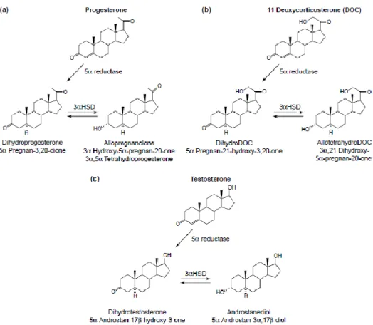 Figura 6 - Síntese de esteroides neuroativos a partir hormonas esteroides. A imagem a) representa a  metabolização de progesterona originando o neuroesteroide alopregnenolona; a imagem b) representa a  conversão  da  11-deoxicorticosterona  (DOC)  em  alot