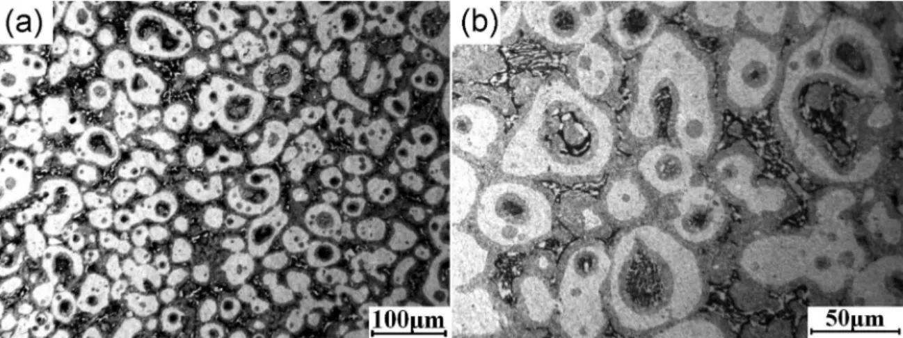 Figure 1a shows that the microstructure of the thixoformed  ZA27 alloy is composed of near spheroidal primary particles  and intergranular secondarily solidiied structures