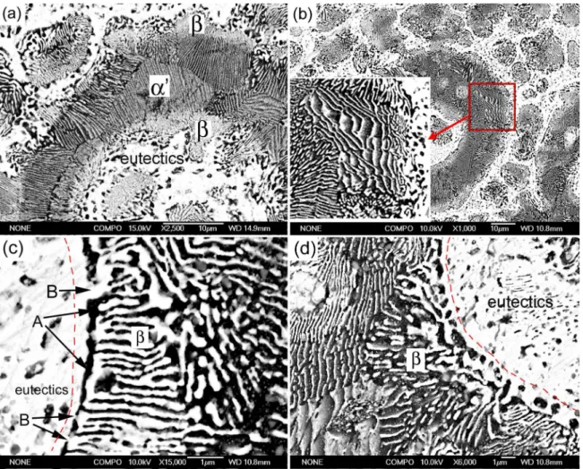 Figure 7. SEM micrographs of the thixoformed ZA27 alloy. (a) shows the general morphologies of both the original α’ and β phases,  the local high-magniication image in (b) shows the laminar structure characteristic of the β phase decomposition products, an