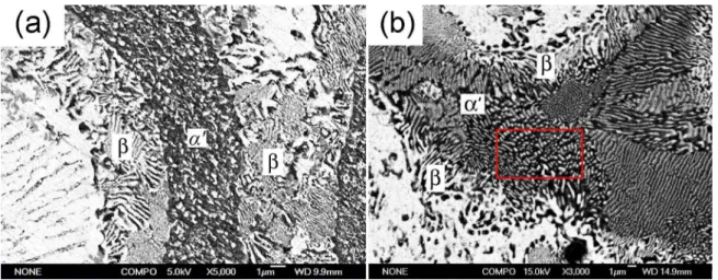 Figure 10. SEM micrographs of the thixoformed ZA27 alloy. Showing crack characteristics within the decomposition laminar products  from α’ phase as shown by arrows.