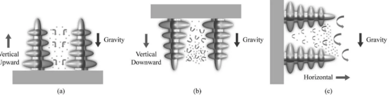 Figure 1. (a) Vertical upward solidiication: stable interdendritic liquid (b) Vertical downward solidiication: unstable interdendritic liquid  (c) Horizontal solidiication: unstable interdendritic liquid caused by solutal convection.