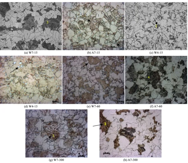 Figure 4. Inluences of annealing parameters (time and temperature) on microstructure of API X80 steel