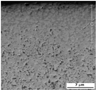 Figure 6 shows indentation imprints on these samples. No lateral  cracks formed at loads up to 700N using the Rockwell C  indenter