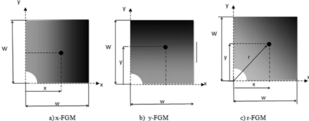Figure 3. Direction of the FGM Young’s modulus FGM (a) x-FGM variation, (b) y-FGM variation, (c) r-FGM variation.