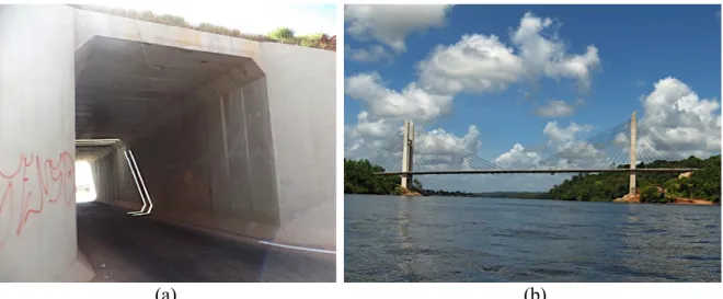 Figura 2.2 - Sistemas estruturais utilizados nos projetos de OAEs. (a) PI celular na BR- 060/GO; (b) Ponte estaiada sobre o rio Oiapoque na fronteira Brasil-Guiana Francesa 