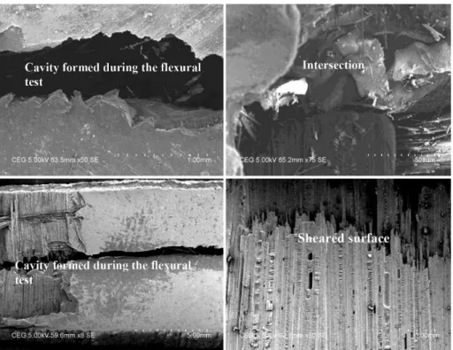 Figure 11. SEM micrograph of the lexural specimen 3 after the test.