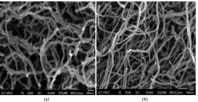 Figure 2 showed the SEM images of CNTs before (a) and  after (b) the puriication process using H 2 SO 4  (95%)/HNO 3