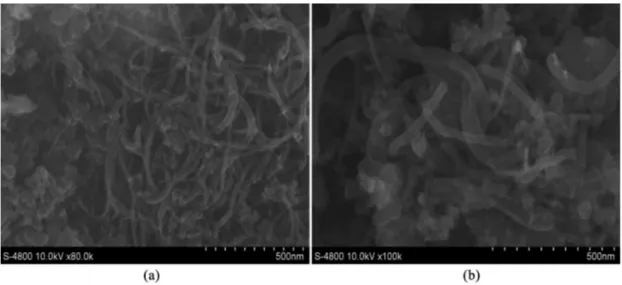 Figure 7. SEM images of LMO/CNTs (2 wt%) (a) and LNMO)/CNTs (2 wt%) (b) nanocomposites.
