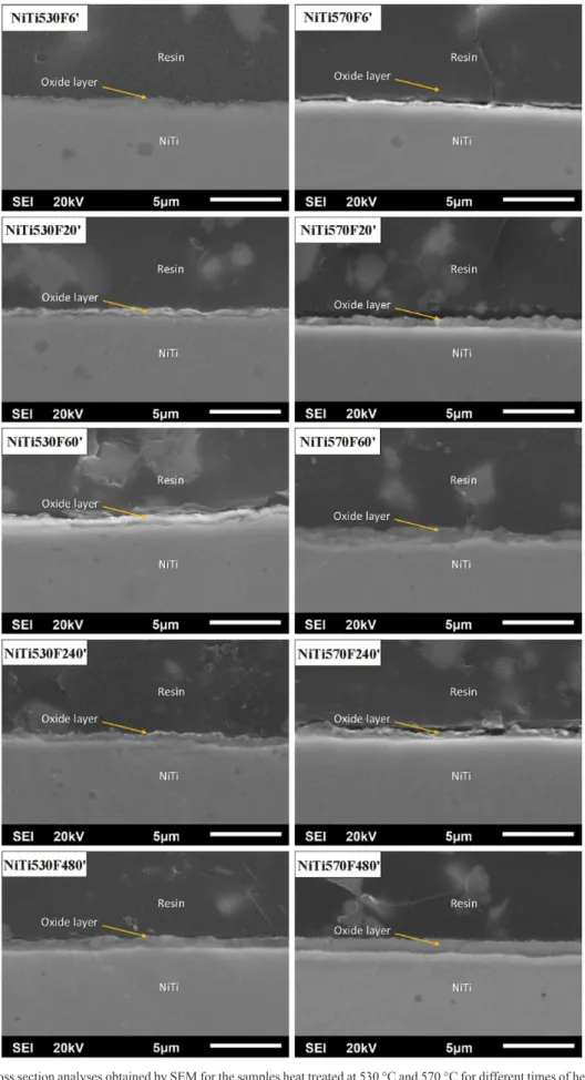 Figure 4. Cross section analyses obtained by SEM for the samples heat treated at 530 °C and 570 °C for different times of heat treatment.