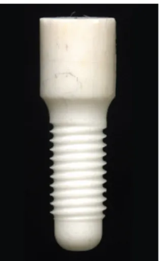 Figure 2. Ti implant with macrostructure of rounded tip and apex 