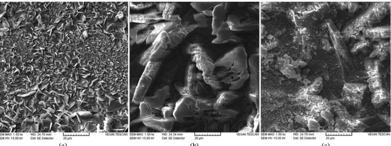Figure 6. SEM images of zinc phosphate conversion coatings obtained by 20 min immersion in phosphate solution in different coating  temperatures: (a) 45 °C, (b) 65 °C and (c) 80 °C.