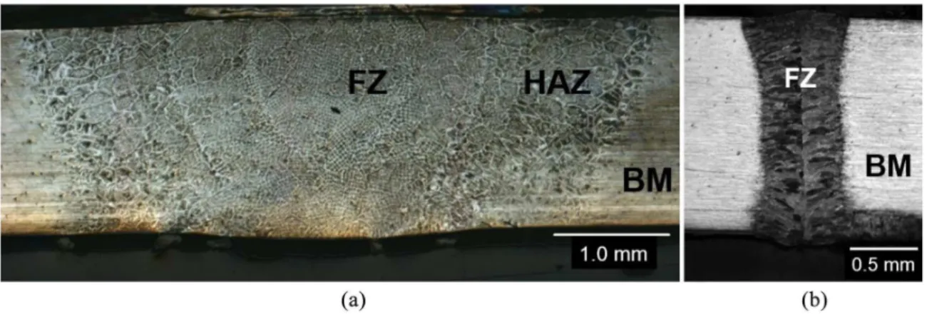Figure 1. Microstructural features of the (a) TIG and (b) laser welding. Optical microscopy.