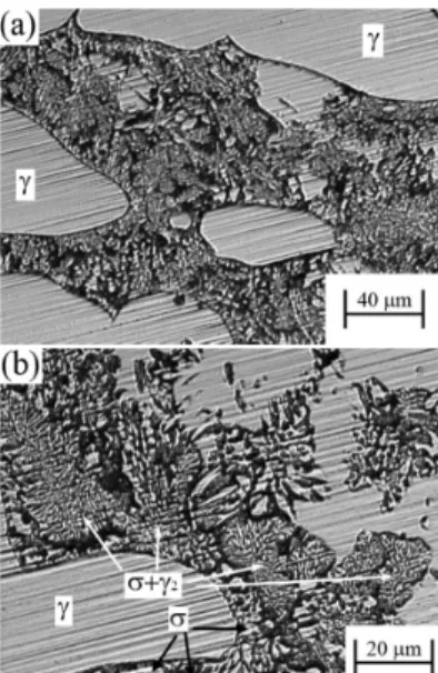Figure 9.  Microstructures observed after DL-EPR tests in SD-A  aged at 850 °C for 60 min.