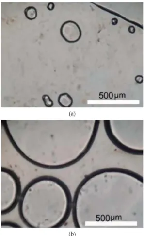 Figure 2. OM images of PET/PC (80/20 wt/wt%) (unexposed): 