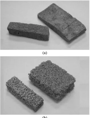 Figure 3. Confocal surface microscopic image showing the two  phases present in ceramic foam: mullite (white) and alumina-rutile  enrichment areas (black)