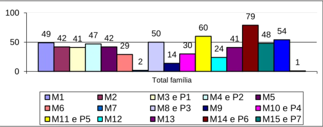 Gráfico III. 10: Número total de participação das famílias. 