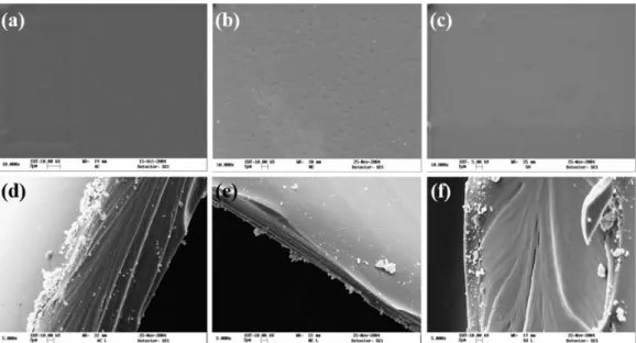 Figure 2. Micrographs of membranes. (a) Surface of chitosan membrane (CA); (b) Surface of chitosan neutralized membrane (CN); 