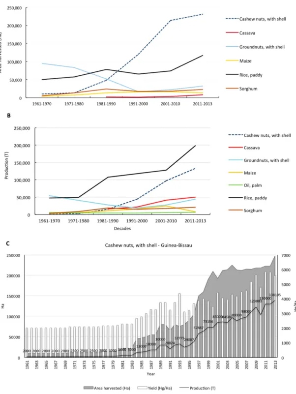 Figure 2. (A) Harvested area of main agricultural commodities in Guinea-Bissau during 1961–2013  (data unavailable for “oil, palm”); (B) Trends in production for the main agricultural commodities in  Guinea-Bissau over the period of 1961–2013; (C) Trends i