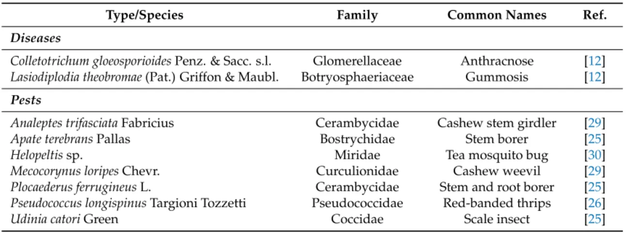 Table 1. Cashew diseases and pests reported in Guinea-Bissau.