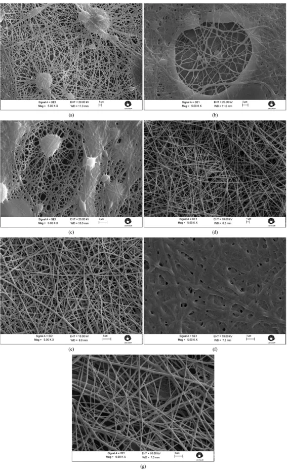 Figure 9. SEM images of the electrospun ibers from different solutions with magniication of 5000x: (a) 1 (9.3wt%), (b) 2 (18.6wt%),  (c) 3 (27.8wt%), (d) 4 (37.0wt%), (e) 5 (46.3wt%), (f) 6 (55.5wt% and (g) 7 (64.8wt%).