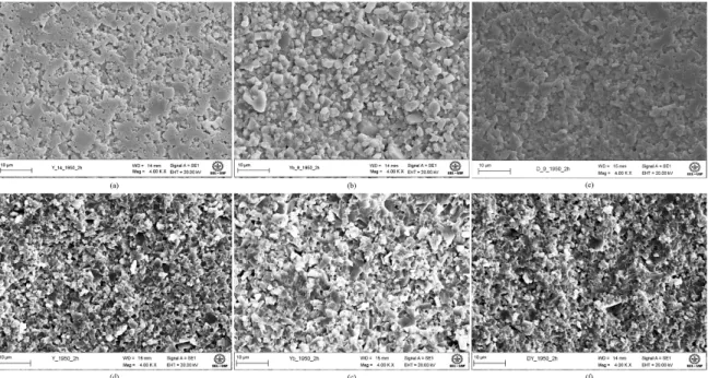 Figure 2. Secondary electron SEM images of the samples: (a, d) ALY; (b, e) ALYB; and (c, f) ALD, with (a, b, c) corresponding to the  polished surfaces etched with sodium tetraborate, and (d, e, f) to the fracture surfaces.