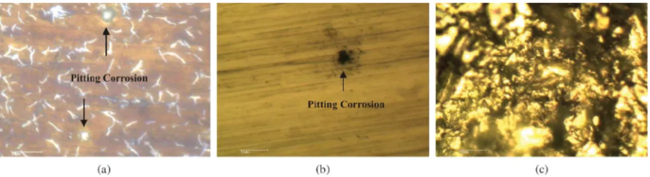 Figure 3. Open circuit potential (OCP) (a) and polarization curves (b) of the samples.