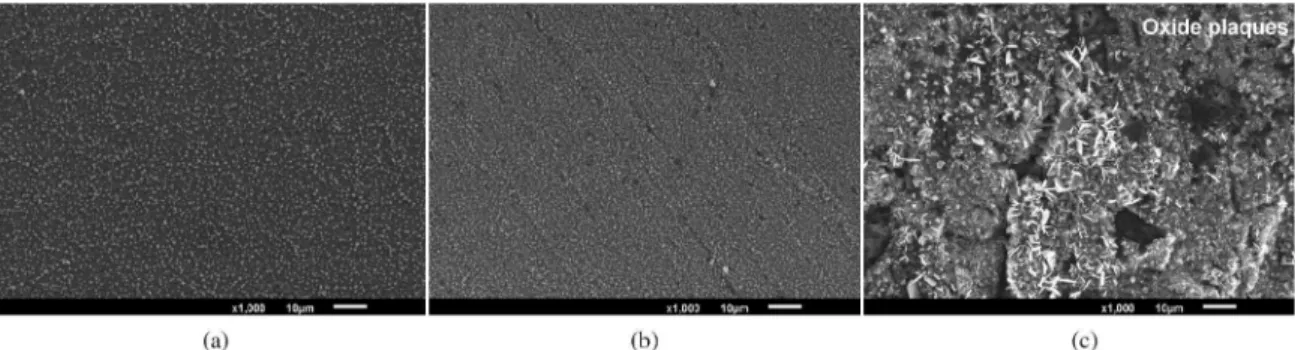 Figure 8. SEM micrographs of the: (a) bare, (b) sanded and (c) shot peening samples, after an oxidation test of 96 hours at 800°C.