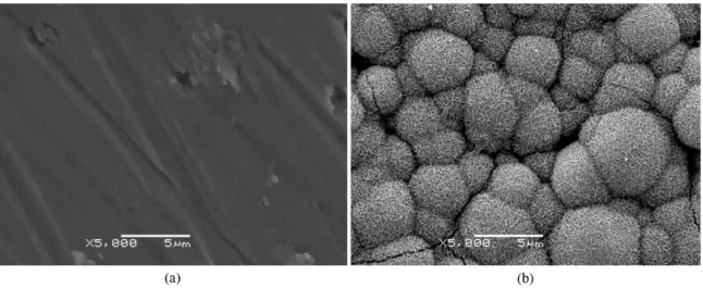 Figure 4. SEM image of Ti6Al4V with TiO 2  grown until 5.0 V (a) before and (b) after 10 days of immersion in SBF at body temperature