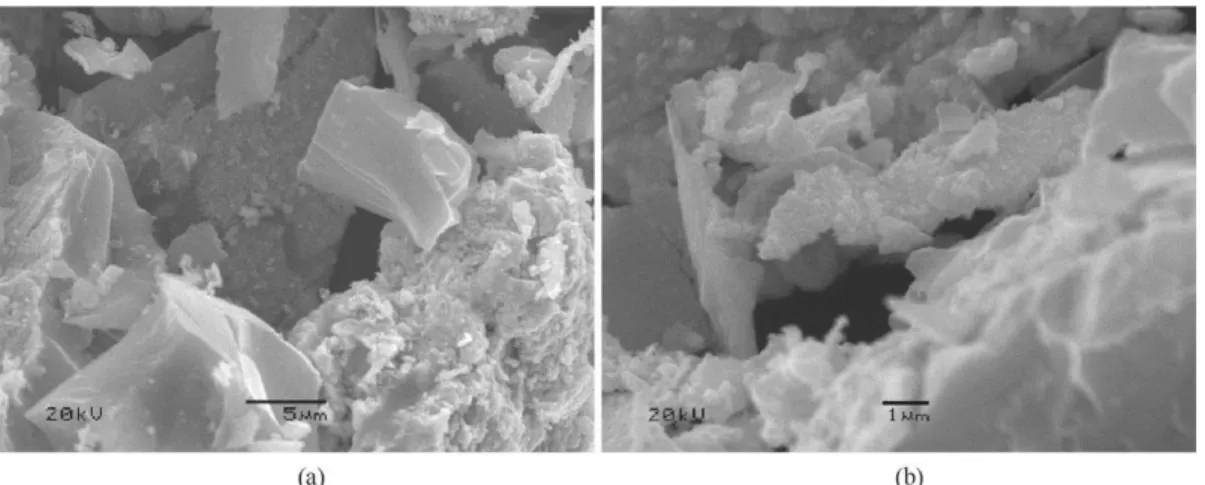 Table 2. Assignments of infrared bands of the SnO 2 /SiO 2  nanocomposite.