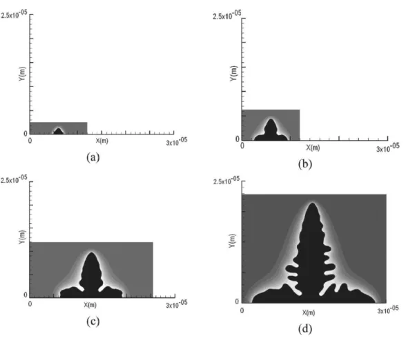 Figure 10. Development of the adaptive computational domain for dendritic growth for binary alloy (Fe-C)