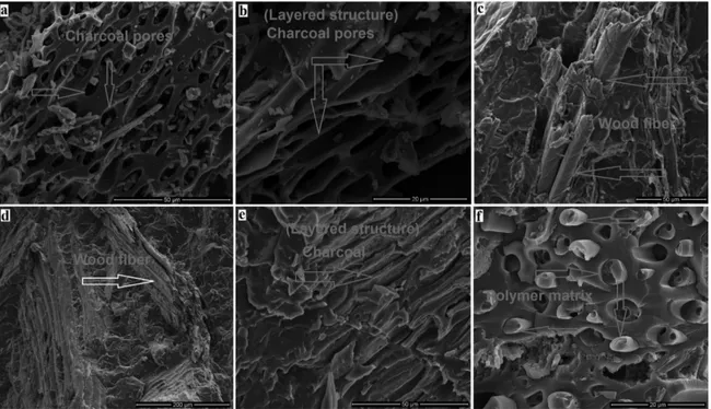 Figure 1. SEM images of charcoal lour and fracture surfaces of wood lour or charcoal lour illed polypropylene composites.